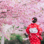 Menjelajahi Negeri Sakura Selayang Pandang tentang Jepang